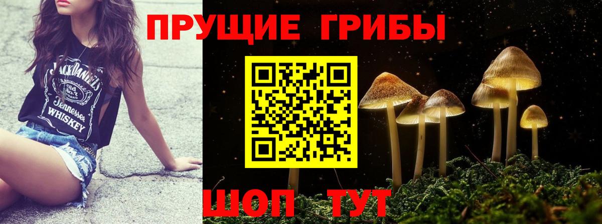 Ангарск  Галлюциногенные грибы Psilocybe  Вход с VPN  Галлюциногенные грибы Cubensis 